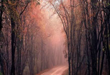 中超首轮上座率表现亮眼 成都蓉城主场突破四万人高居第一.