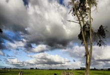 虎扑体育：张景胤、江川等入选中国男排集训名单2025-04-02.