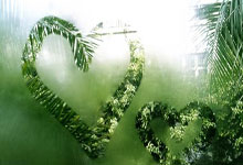 49岁传奇神级准度！决胜局贴库红球极限清台，全场起立鼓掌.