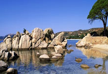 2025年首场世界羽联巡回赛 我国羽队角逐马国公开赛三项目.